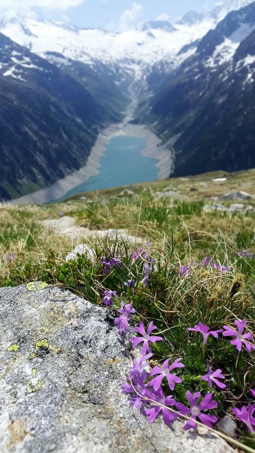 Hotel Pension Eichenhof Ried im Zillertal Kültér fotó